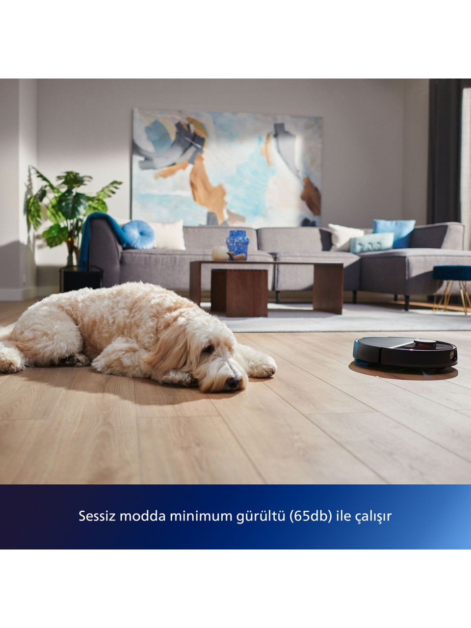 resimler/genel/Philips XU700002 7000 Serisi HomeRun Aqua Islak Kuru Robot Süpürge, Sarj İstasyonlu, İpek Beyaz ve Altın Sarısı