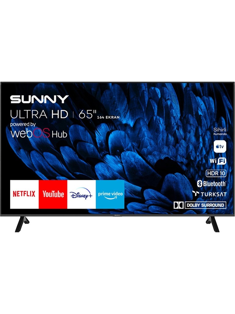 Sunny SN65FMN252 65